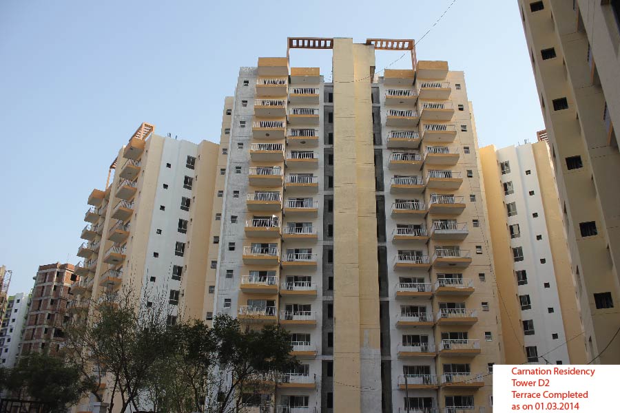 Orris Carnation Residency